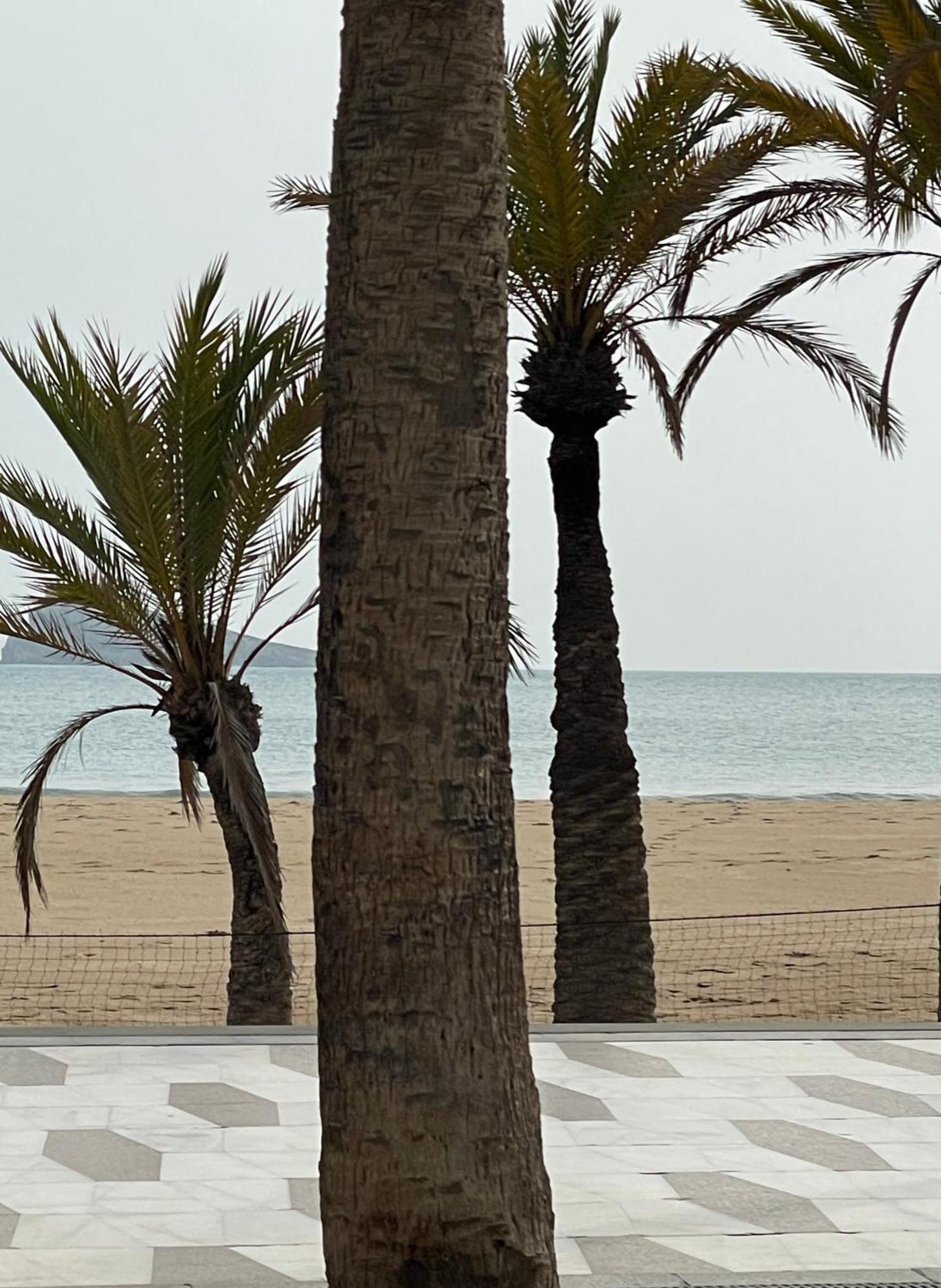 Casa Holiday Finestrat - 3 Bedroom Flat With Common Pool Exterior photo